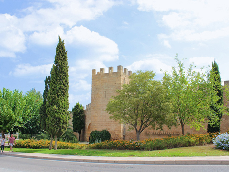 Alcudia Arta Alcudia Arta
